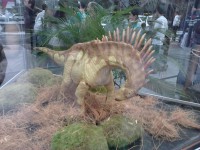 /album/galeria-de-fotos/exposi%c3%a7%c3%a3o%20dinossauros%20patagonia%20%2811%29-jpg/